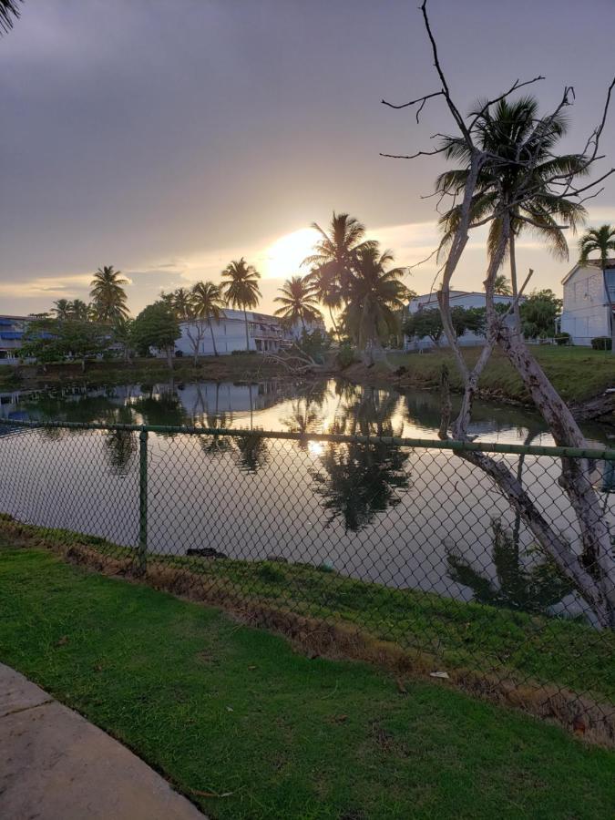 Beach Villas Dorado Puerto Rico Buitenkant foto